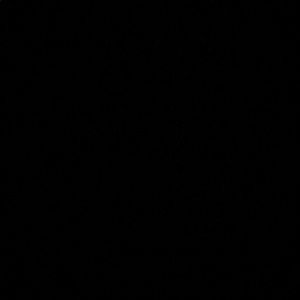 Meet your Posher, Livy